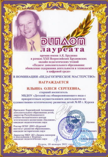 15.01.2021 Ильина Брудновские чтения