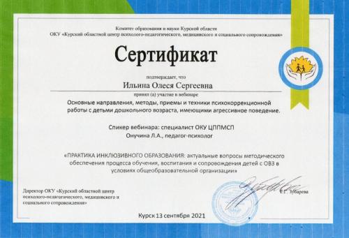 Ильина сертификат 14.09.2021
