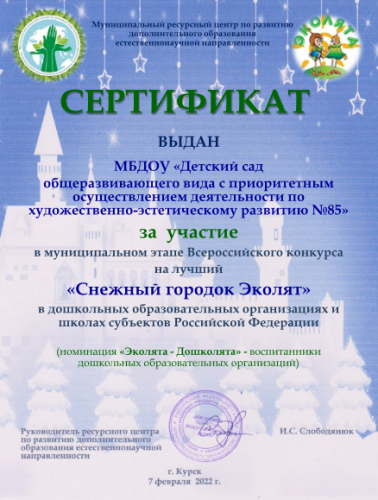 Сертификат Снежный городок 2022